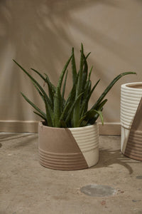 Design Shop Tan Rift Pot, 9.75" X 6.5".
