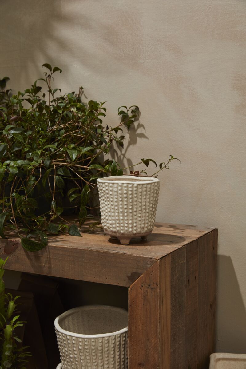 Design Shop Tan Elias Collection Footed Pot, 5.5" X 5.5".
