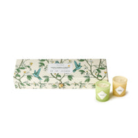 Design Shop Lemon Verbena and Quince Scented Candles in Gift Box - Soy Wax/Glass, Set of 5.