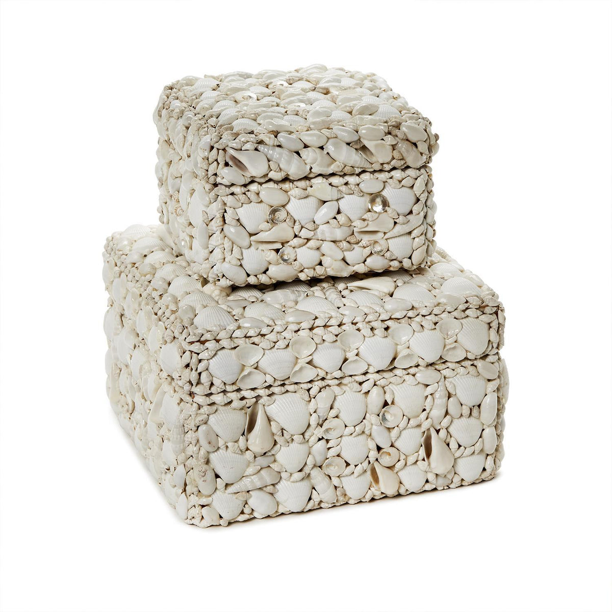 Design Shop Shell Rectangle Boxes - Sea Shell/Plywood, Set of 2.