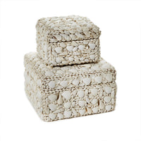 Design Shop Shell Rectangle Boxes - Sea Shell/Plywood, Set of 2.