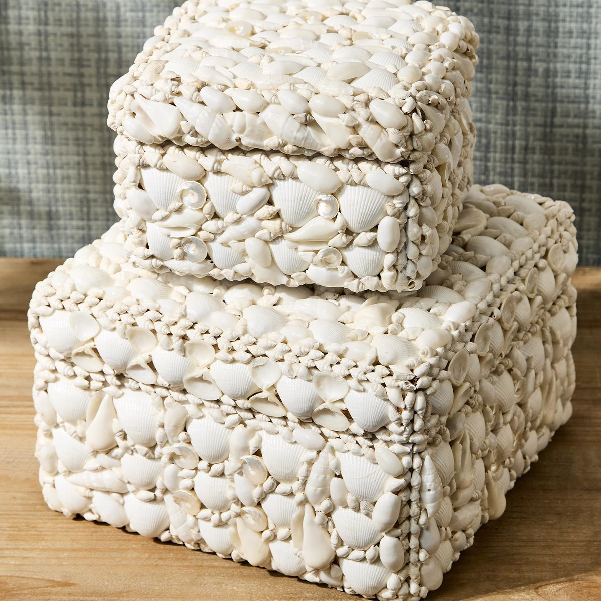 Design Shop Shell Rectangle Boxes - Sea Shell/Plywood, Set of 2.