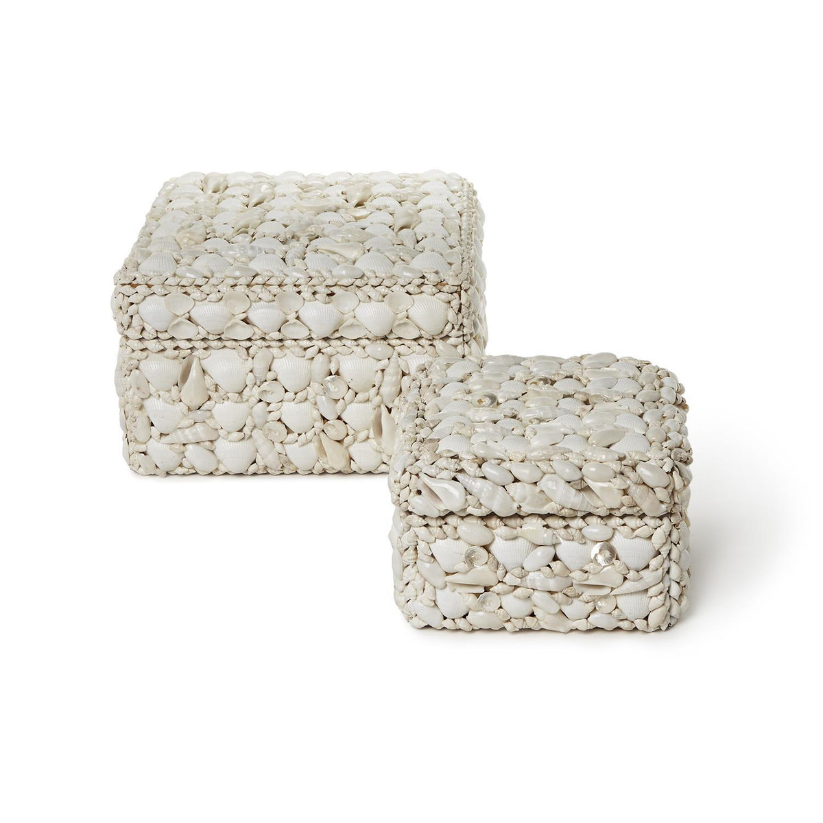 Design Shop Shell Rectangle Boxes - Sea Shell/Plywood, Set of 2.