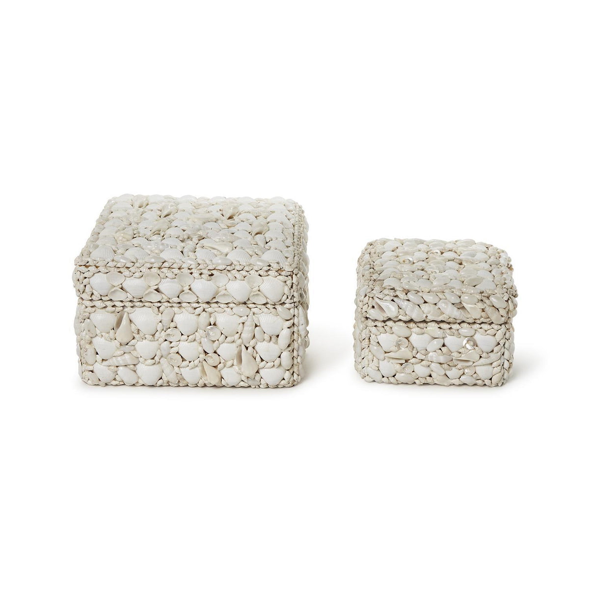 Design Shop Shell Rectangle Boxes - Sea Shell/Plywood, Set of 2.