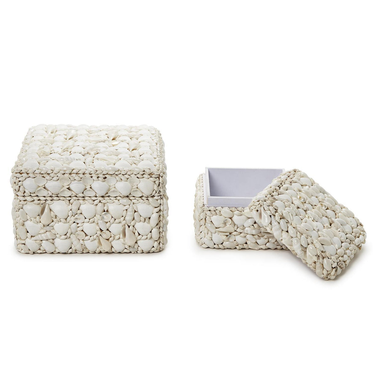 Design Shop Shell Rectangle Boxes - Sea Shell/Plywood, Set of 2.