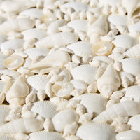 Design Shop Shell Rectangle Boxes - Sea Shell/Plywood, Set of 2.