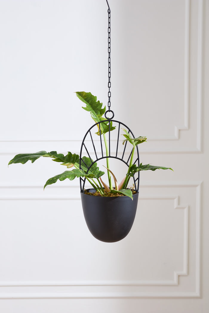 Design Shop Black Hestia Hanging Pot, 9.75" X 39".