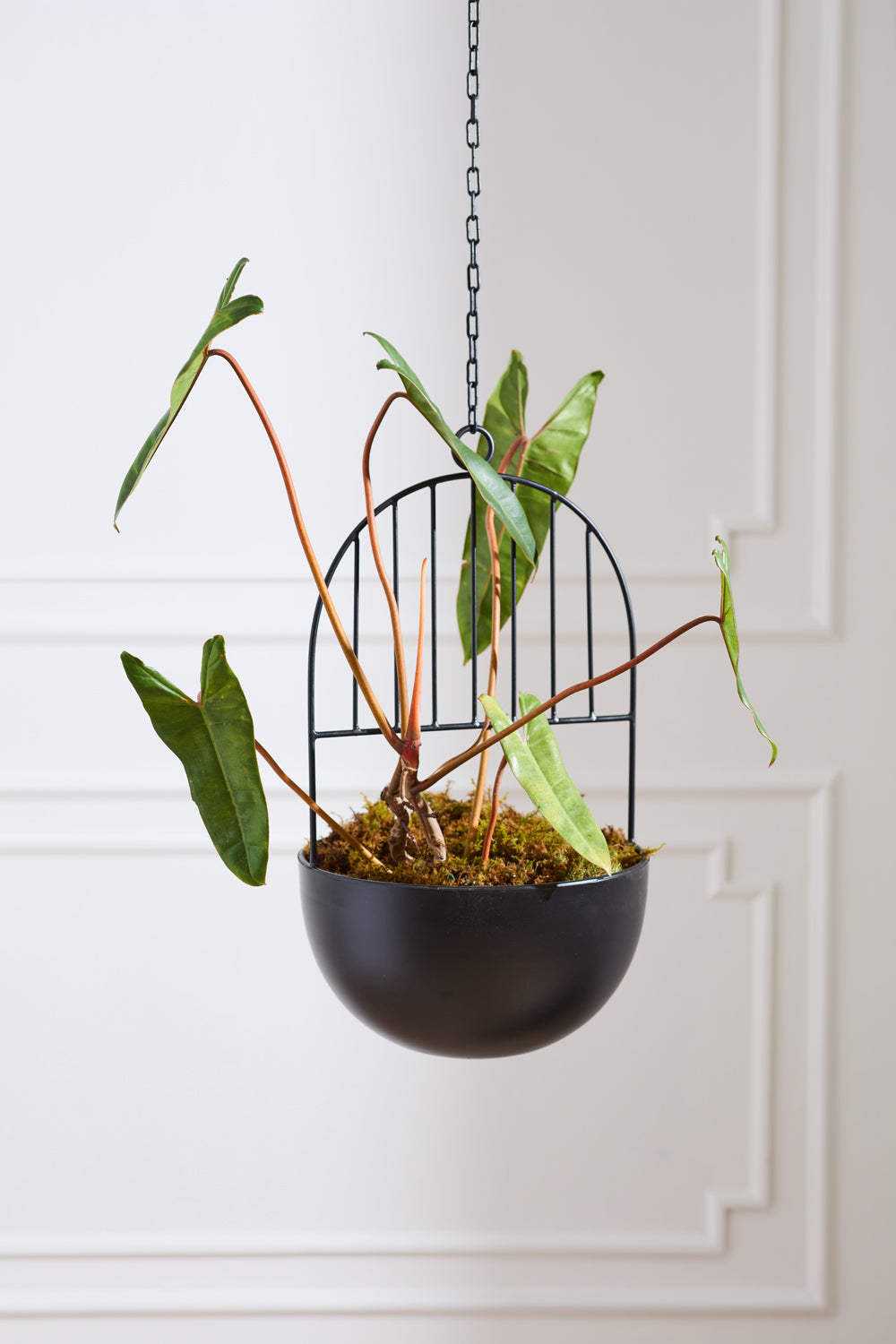 Design Shop Black Hestia Hanging Pot, 12.25" X 39".