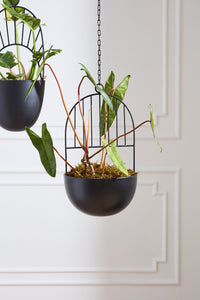 Design Shop Black Hestia Hanging Pot, 12.25" X 39".