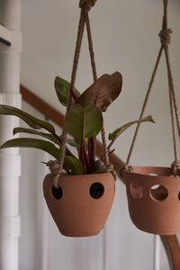Design Shop Terracotta Serralles Hanging Pot, 7" X 5.5", Set of 8.