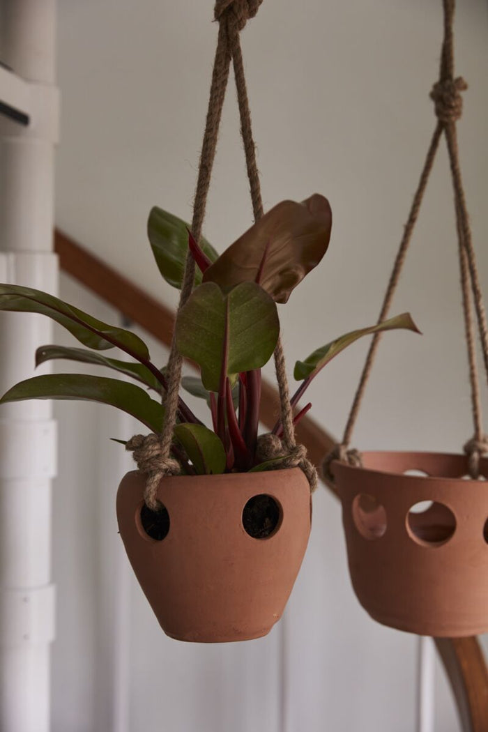 Design Shop Terracotta Serralles Hanging Pot, 7" X 5.5", Set of 8.