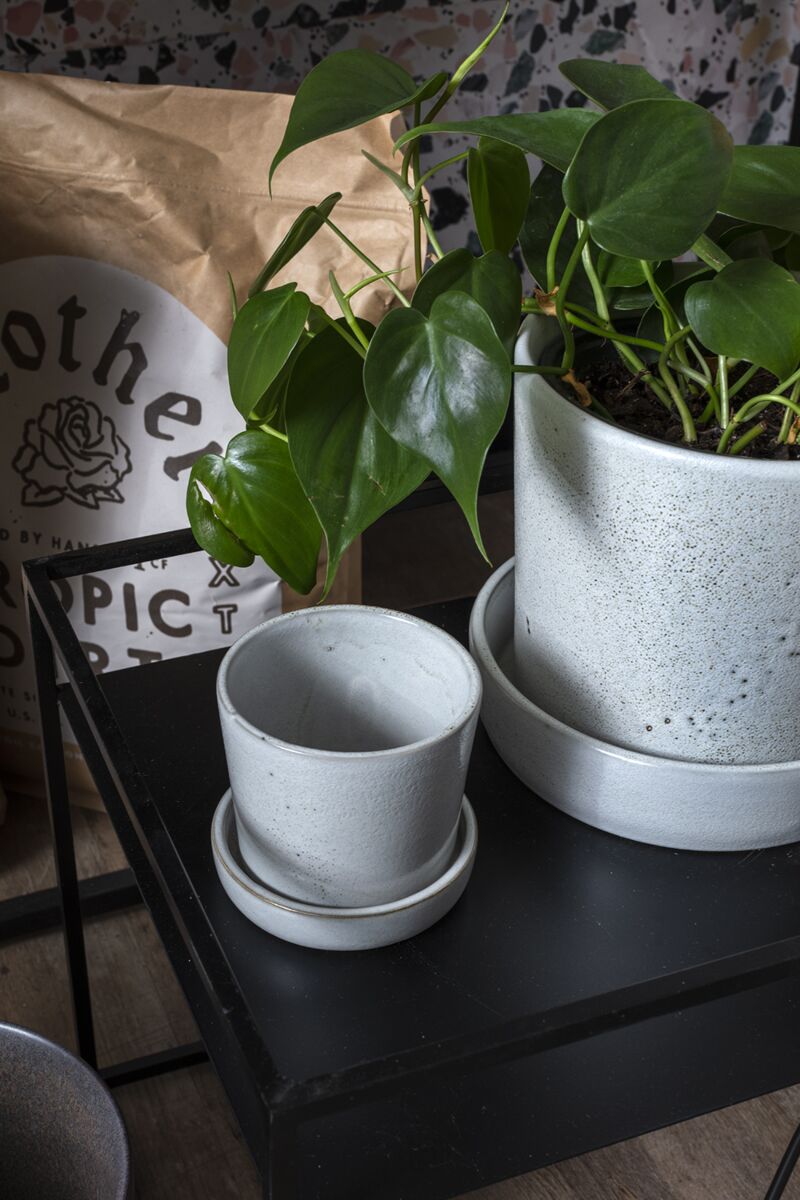Design Shop Off-White Watson Pot, 3.5" X 3.5", Set of 4.