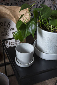 Design Shop Off-White Watson Pot, 3.5" X 3.5", Set of 4.