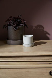 Design Shop Off-White Watson Pot, 3.5" X 3.5", Set of 4.