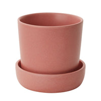 Design Shop Pink Watson Pot, 5.25" X 5".