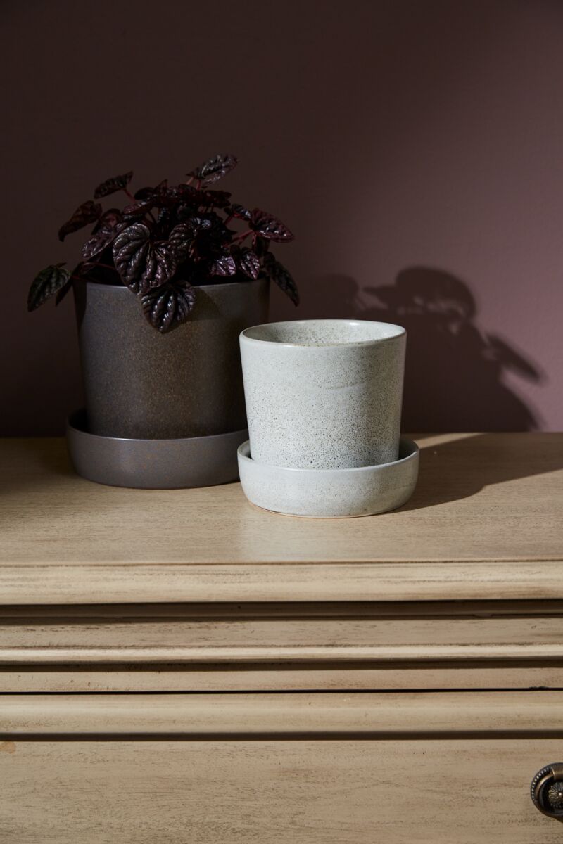 Design Shop Watson Pot with Saucer 5.25"x 5"