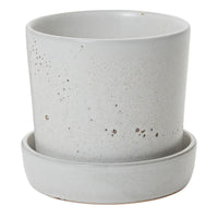 Design Shop Watson Pot with Saucer  6.75"x 6.5"