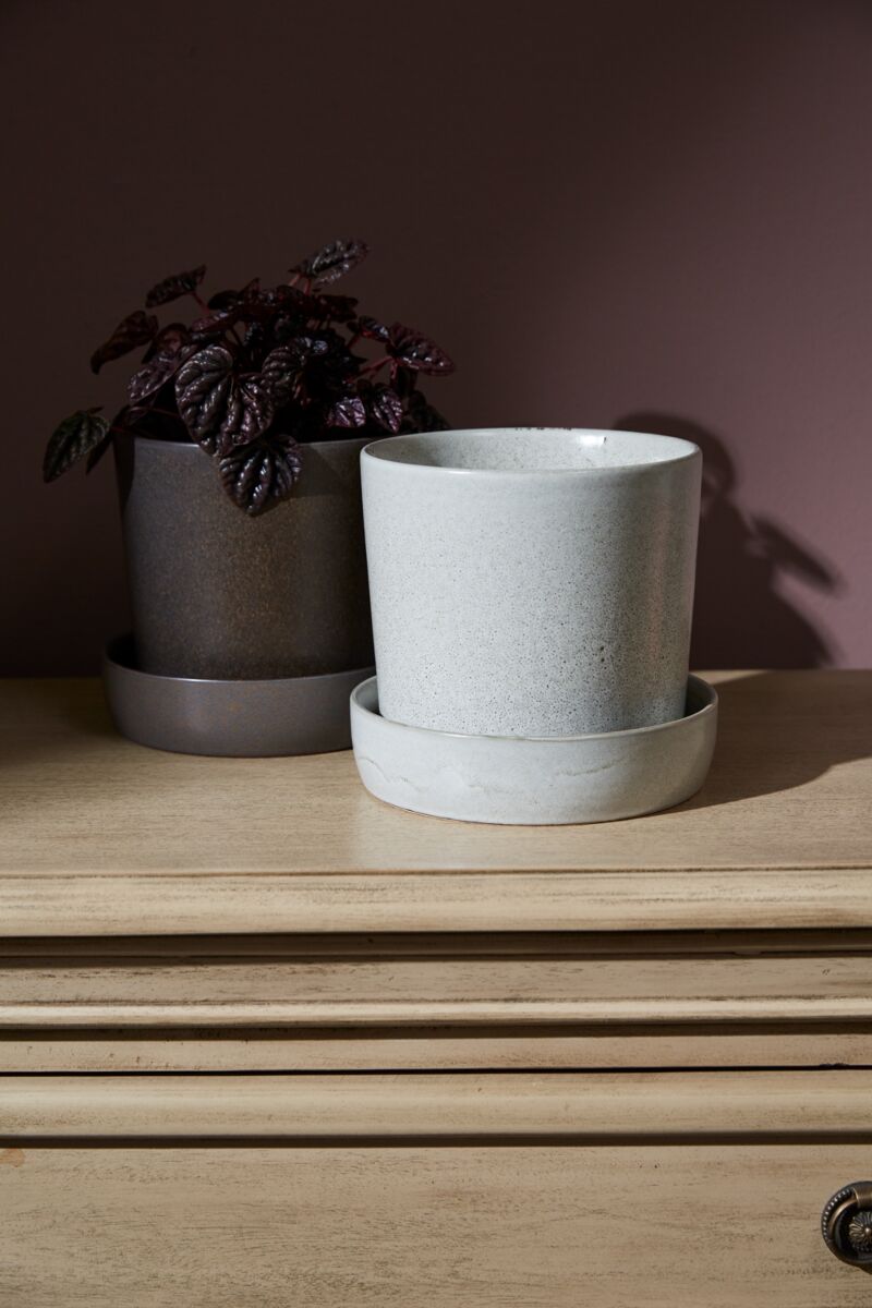 Design Shop Watson Pot with Saucer  6.75"x 6.5"