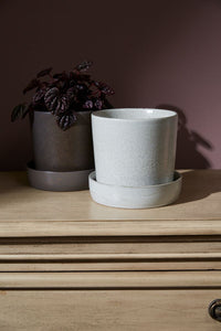 Design Shop Watson Pot with Saucer  6.75"x 6.5"