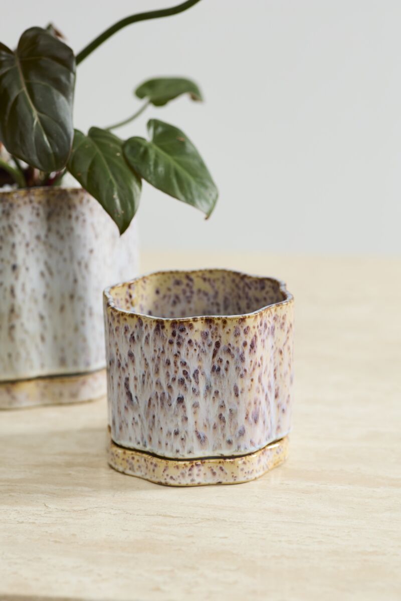 Design Shop Avenell Pot with Saucer 5.5"x 5.5"