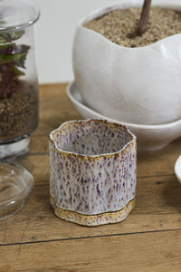 Design Shop Avenell Pot with Saucer 5.5"x 5.5"