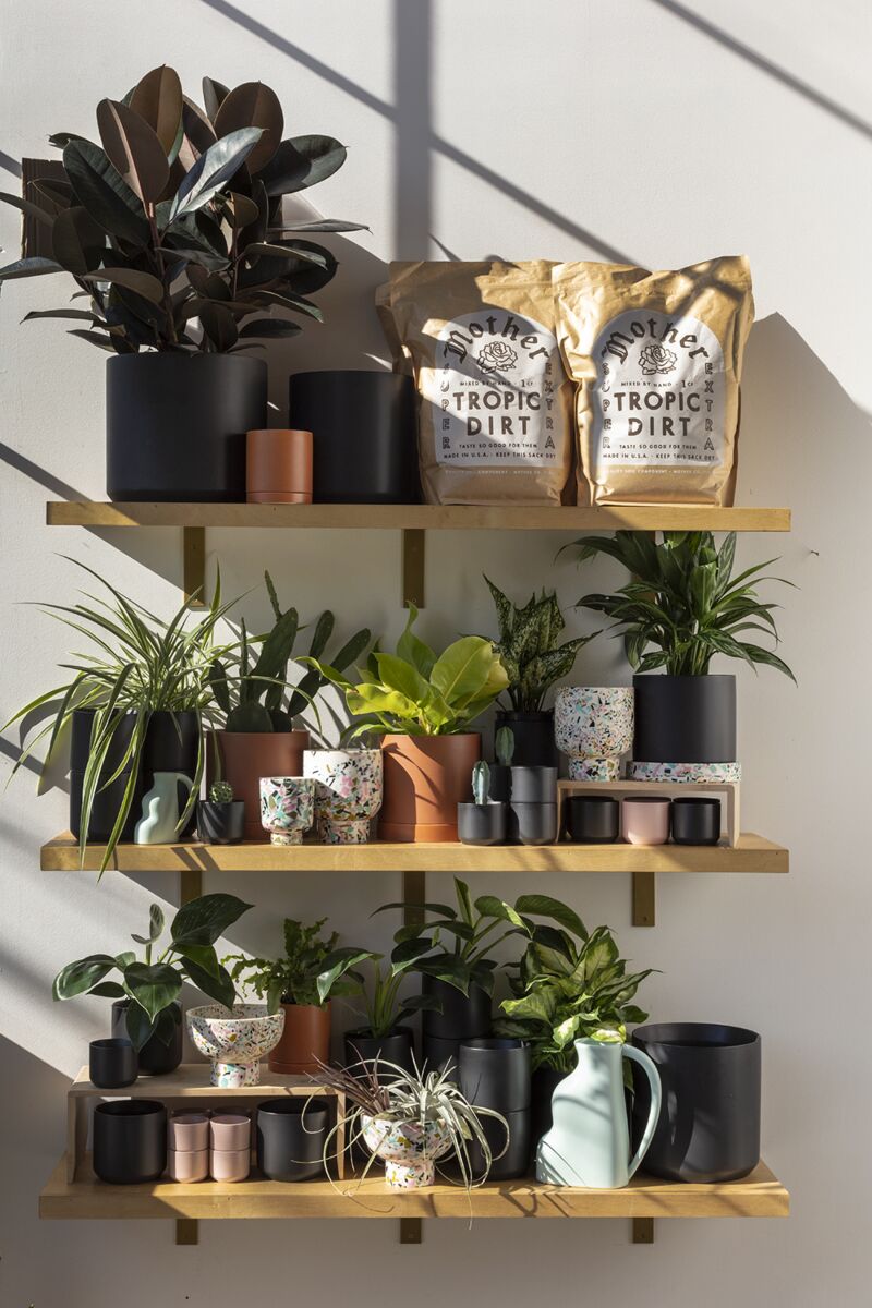 Design Shop Mint Remy Collection Vase, 8" X 9".