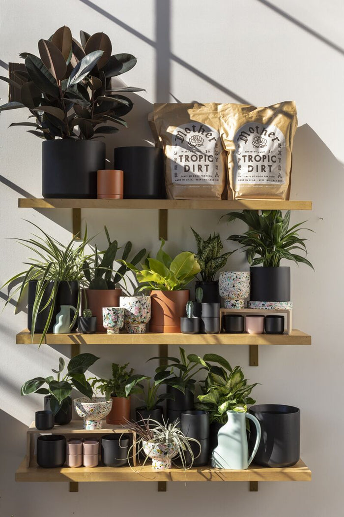 Design Shop Mint Remy Collection Vase, 8" X 9".