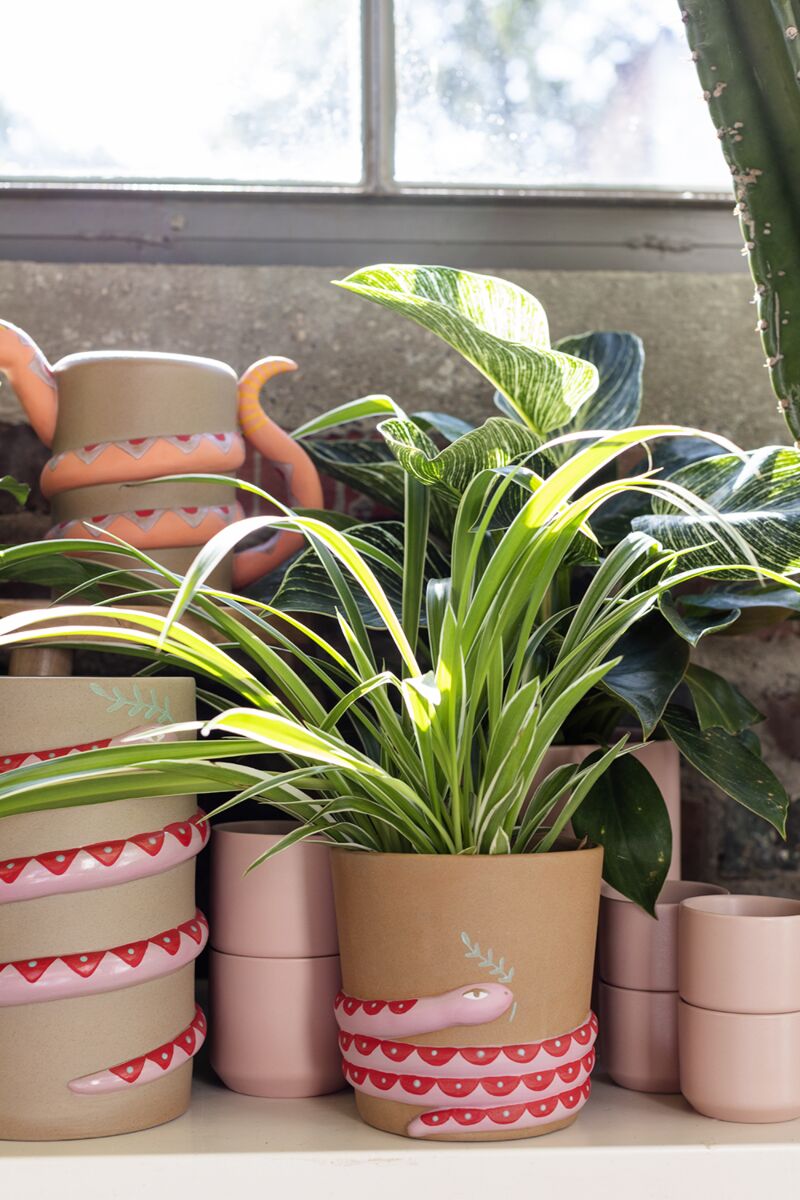 Design Shop Pink Serpent Collection Pot, 5" X 5".