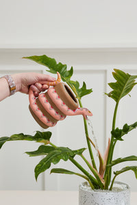 Design Shop Orange Serpent Collection Watering Can, 7.75" X 6".