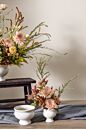 Design Shop Dawson Compote 4.5"x 4.5", Set of 2