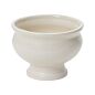 Design Shop Dawson Compote 6.75"x 5.25"