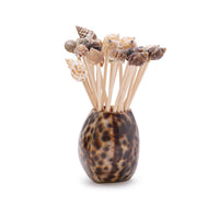 Design Shop Tiger Cowrie Shell w/20 Assorted Sea Shell Picks in Acetate Gift Box - Bamboo Wood/Shell