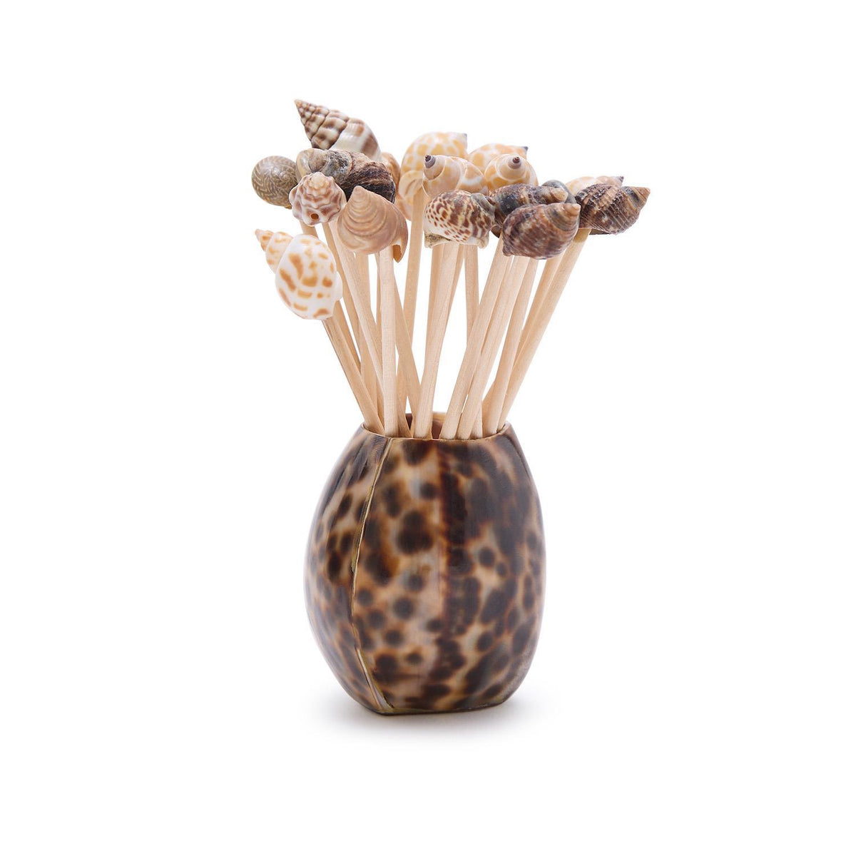 Design Shop Tiger Cowrie Shell w/20 Assorted Sea Shell Picks in Acetate Gift Box - Bamboo Wood/Shell