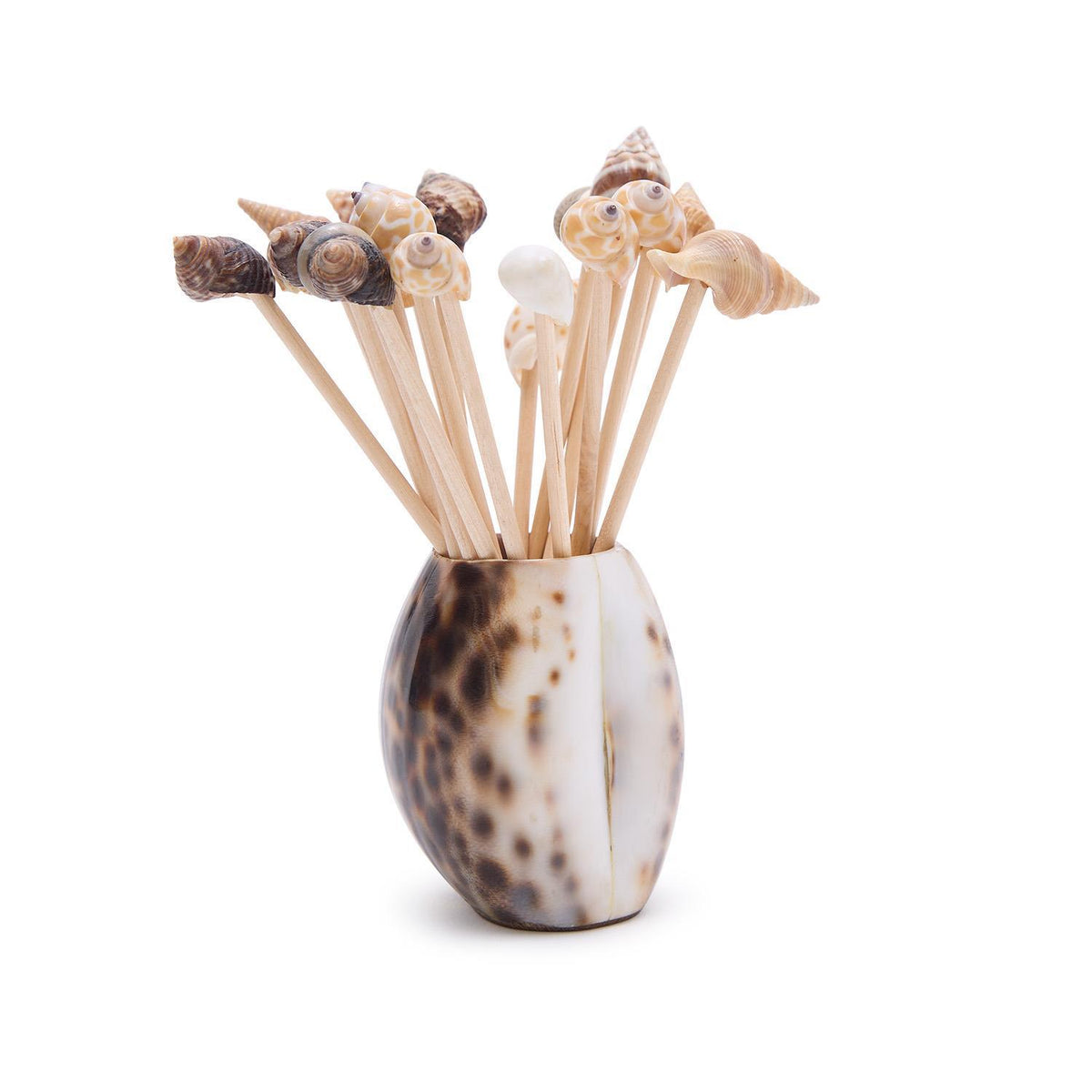 Design Shop Tiger Cowrie Shell w/20 Assorted Sea Shell Picks in Acetate Gift Box - Bamboo Wood/Shell