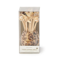 Design Shop Tiger Cowrie Shell w/20 Assorted Sea Shell Picks in Acetate Gift Box - Bamboo Wood/Shell