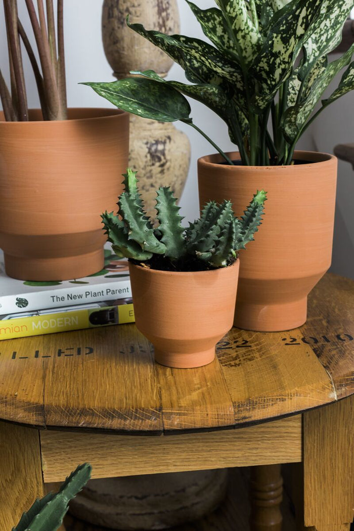 Design Shop Terracotta Crescendo Collection Pot, 3.5" X 3.5", Set of 4.