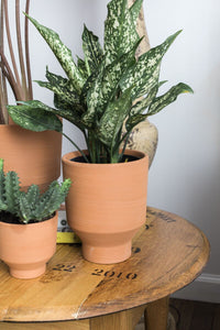 Design Shop Terracotta Crescendo Collection Pot, 5.5" X 6.75"