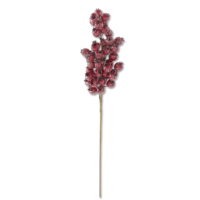 Design Shop 24 Inch Glittered Red Rosehip Stem