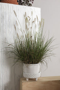 Design Shop White Jane Footed Pot, 6.25" X 6".