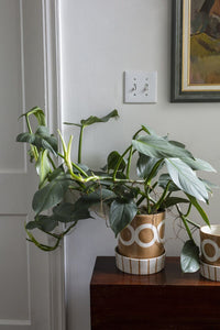 Design Shop Brown Colburn Pot, 7" X 8".