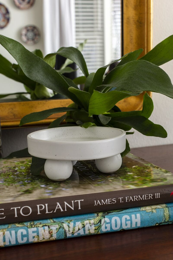 Design Shop White Nixie Plant Stand, 5" X 2", Set of 4.