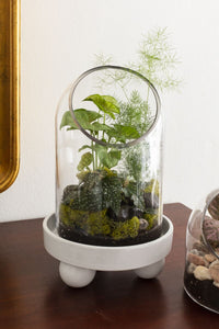 Design Shop White Nixie Plant Stand, 7" X 3", Set of 3.