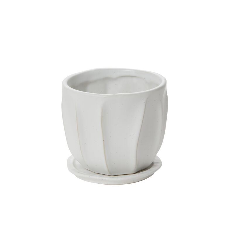Design Shop Draken Pot with Saucer 4.75"x 4.25", Set of 2