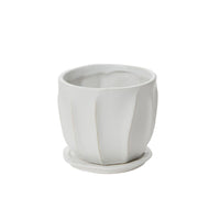 Design Shop Draken Pot with Saucer 4.75"x 4.25", Set of 2