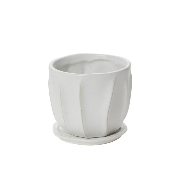 Design Shop Draken Pot with Saucer 4.75"x 4.25", Set of 2