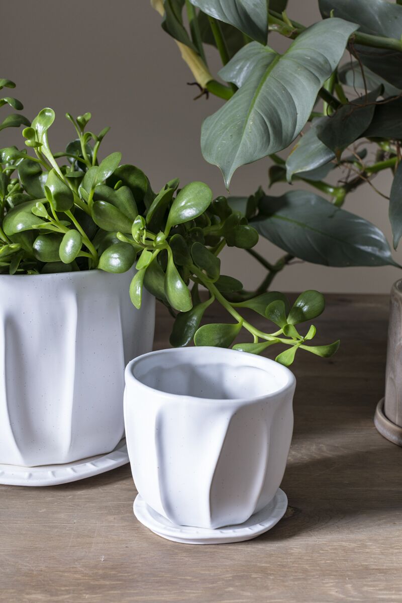 Design Shop Draken Pot with Saucer 4.75"x 4.25", Set of 2