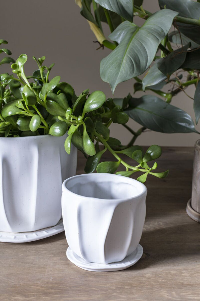 Design Shop Draken Pot with Saucer 4.75"x 4.25", Set of 2