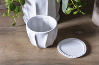 Design Shop Draken Pot with Saucer 4.75"x 4.25", Set of 2