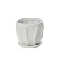 Design Shop Draken Pot with Saucer 4.75"x 4.25", Set of 2