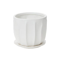 Design Shop Draken Pot with Saucer 7.5"x 6.25"